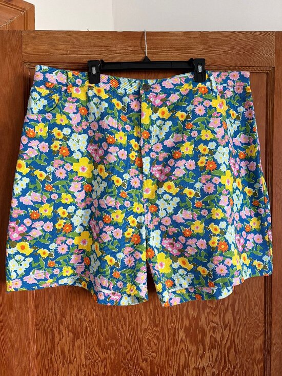 Lucy & Yak Pants - NWT Lucy & Yak floral denim shorts (US 20, UK 24)